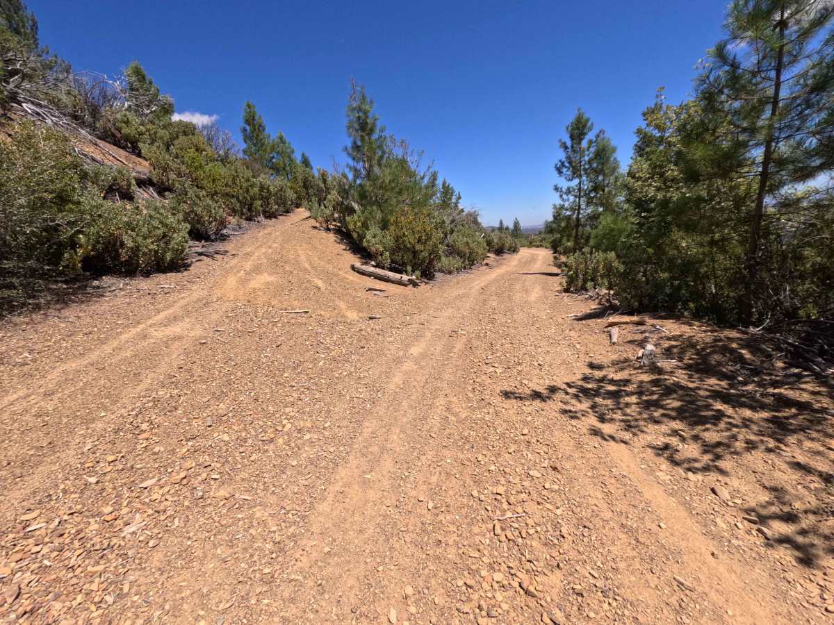 Miner Spur B - FS 17N62B trail photo