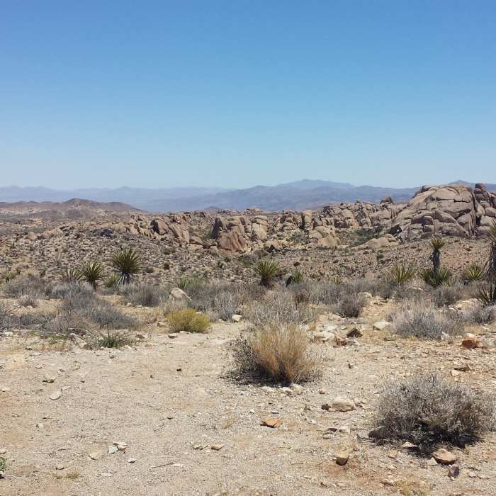 Near Lucky Boy Vista