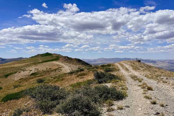 California Mountain - FS 56155