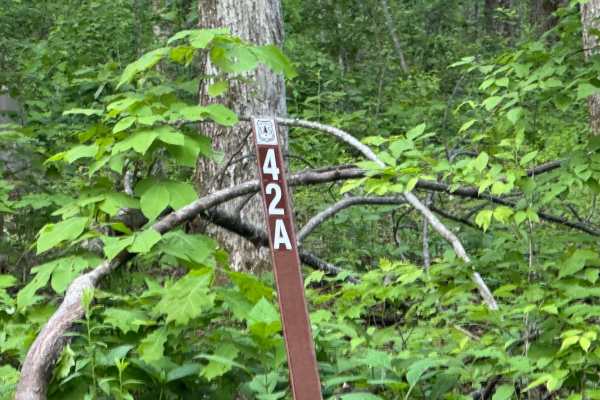 Hawk Mountain - FS 42A