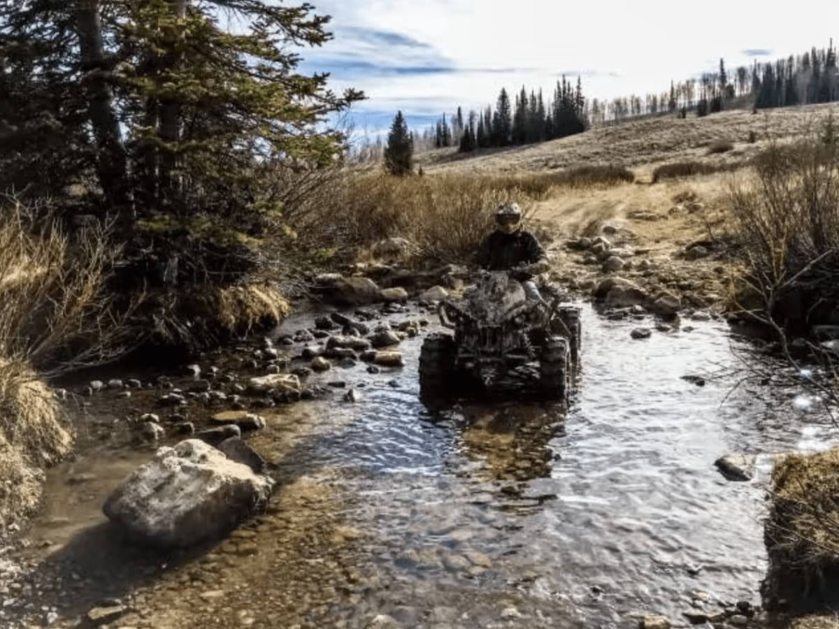Boss Canyon photo 5