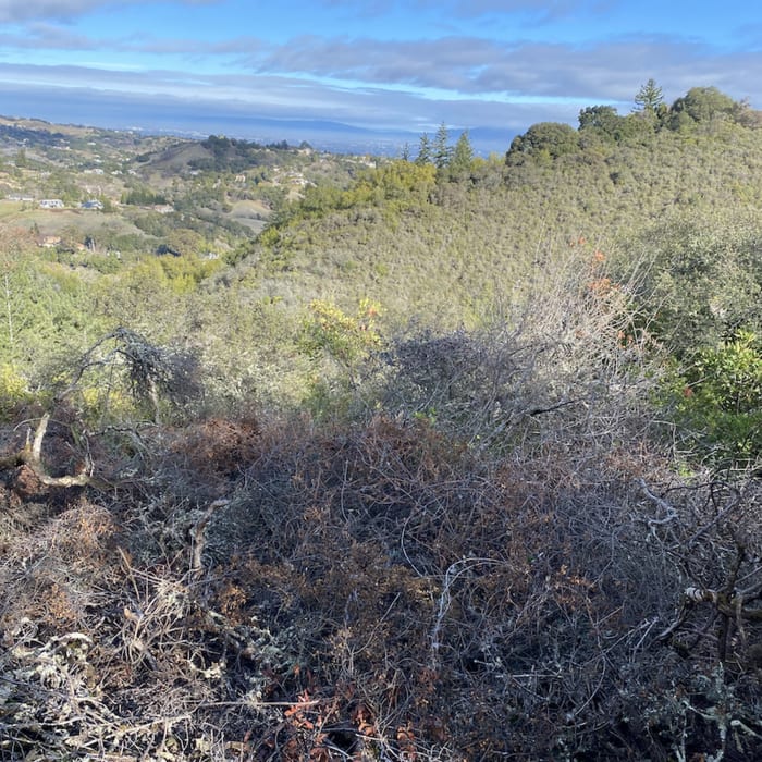Near Saratoga to the Sea: Saratoga Quarry Park to Sanborn Park