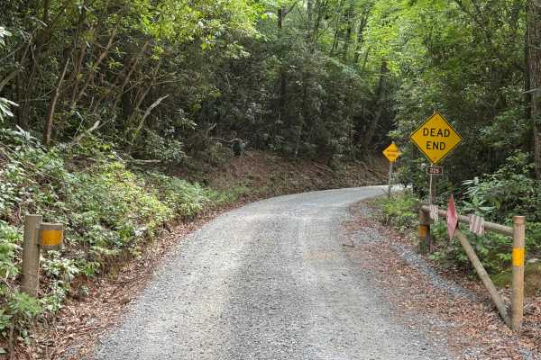 Cove Creek Road - FS 225