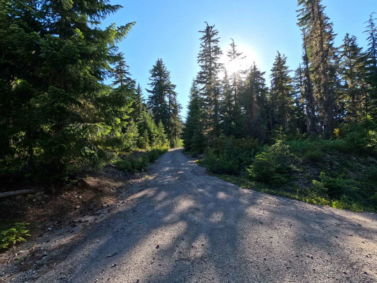 Red Mountain - FS 4600117 trail photo