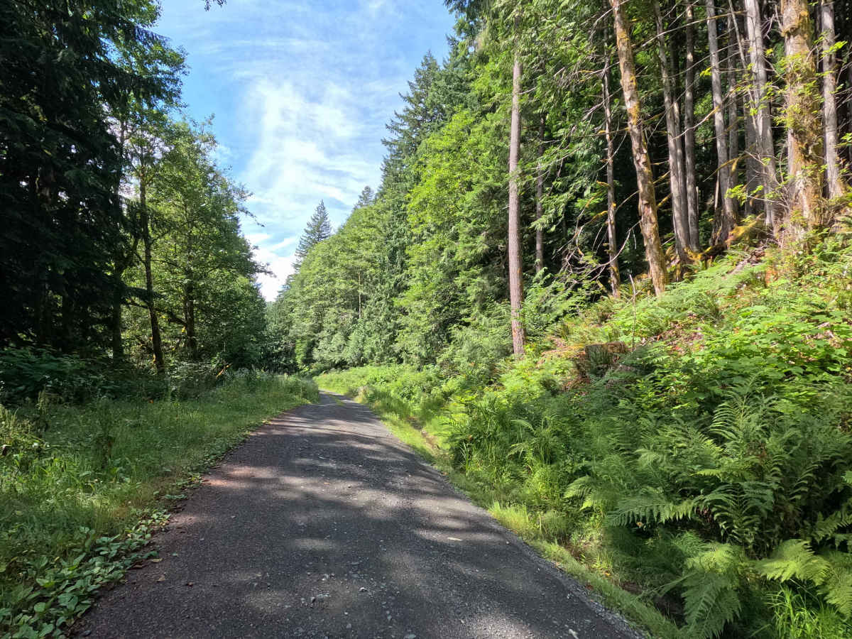 Clearwater Creek Mainline photo 4