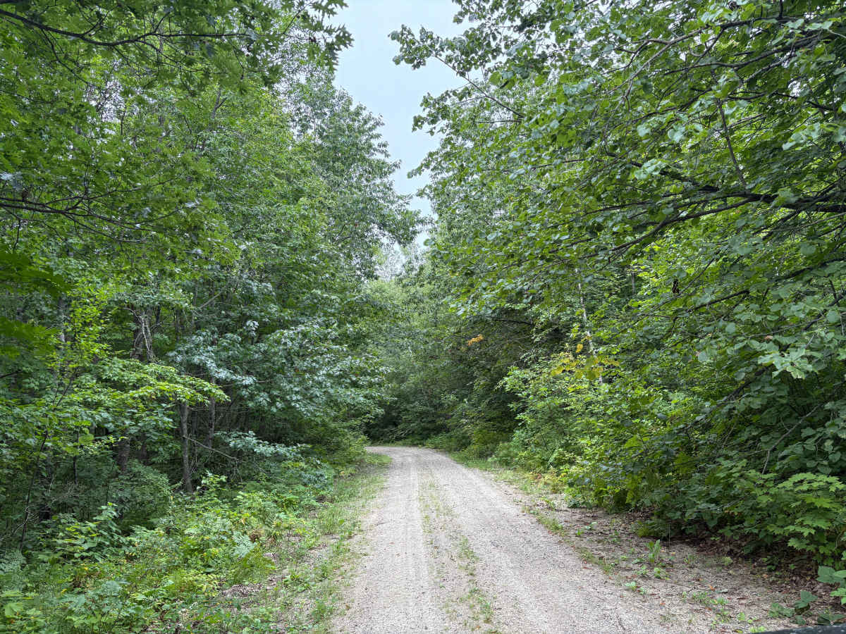 Otterkill Trail trail photo