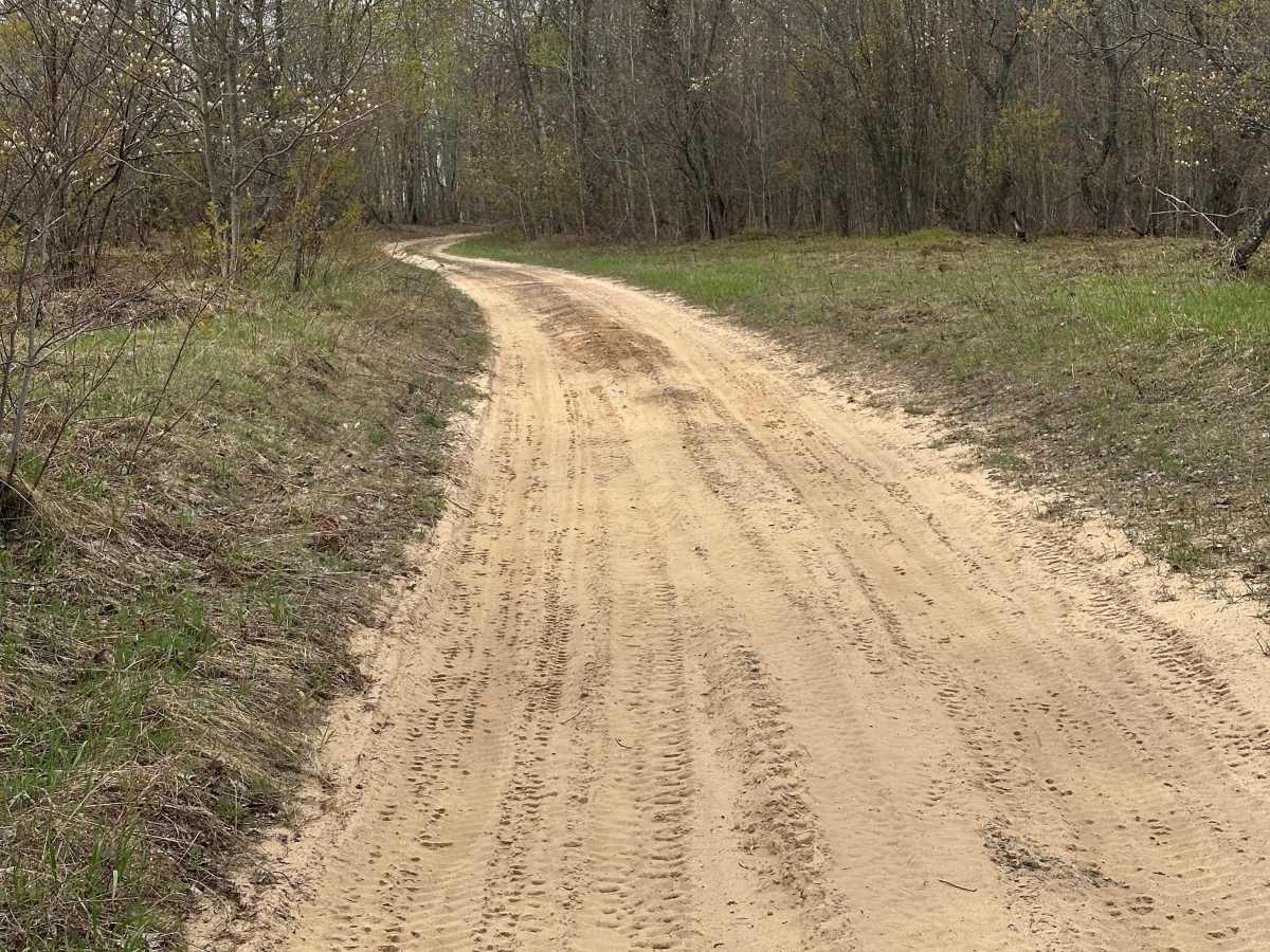 Sand Lake Loop photo 2