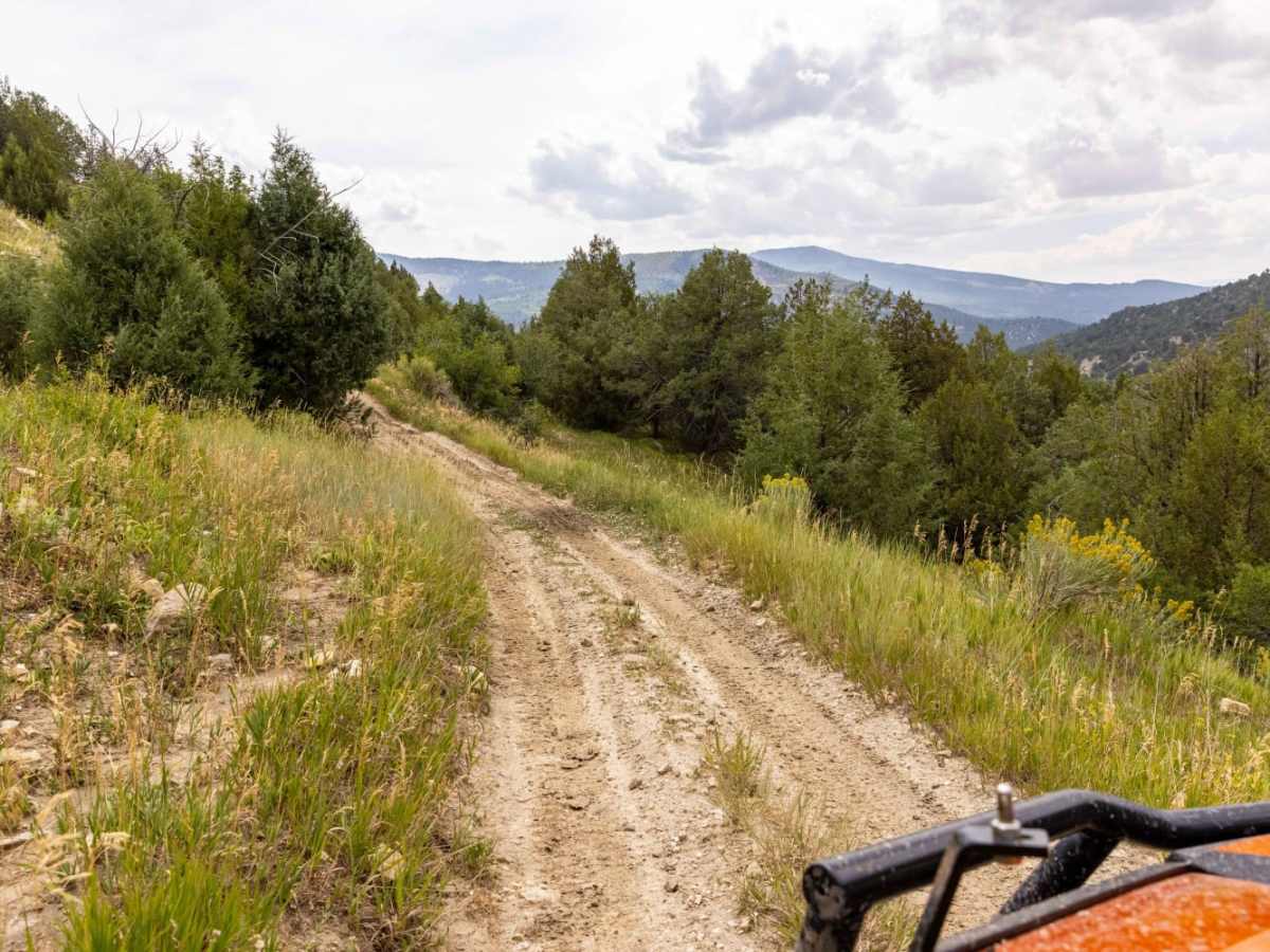 Pinchot Trail trail photo