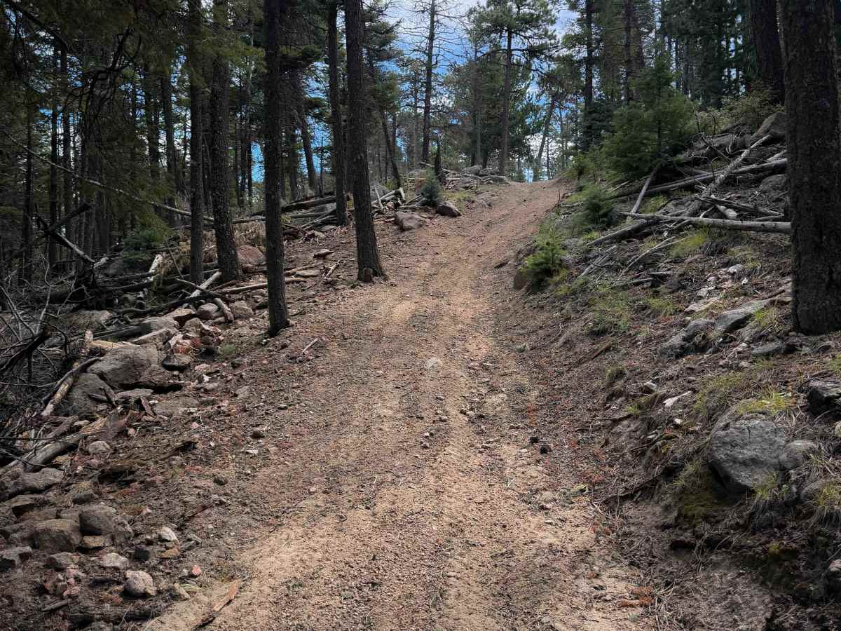 Stultz Trail - FS 1334 photo 6