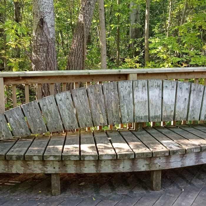 Near Georgian Trail