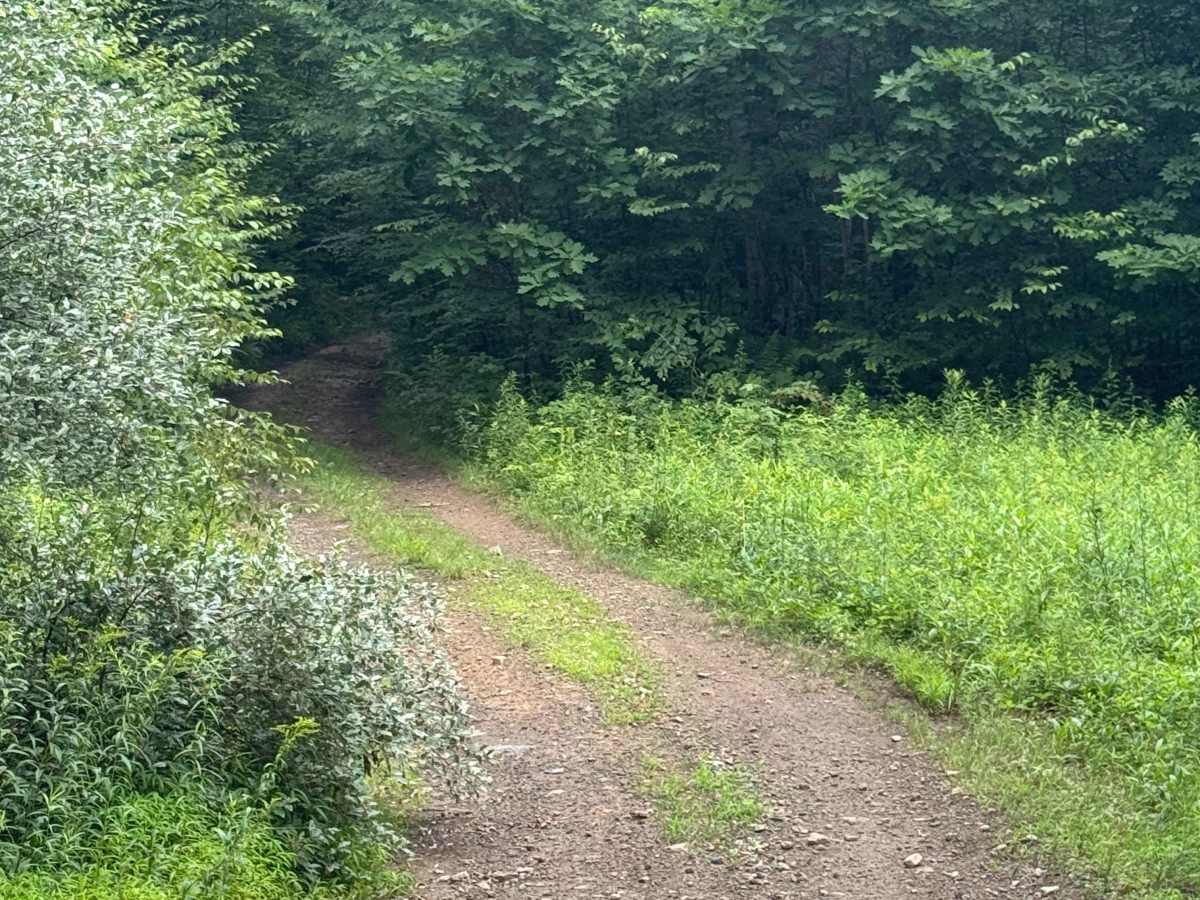 Trail 73 photo 2