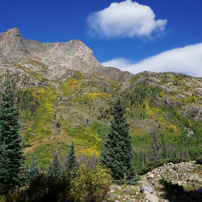 Near Vallecito Trail #529