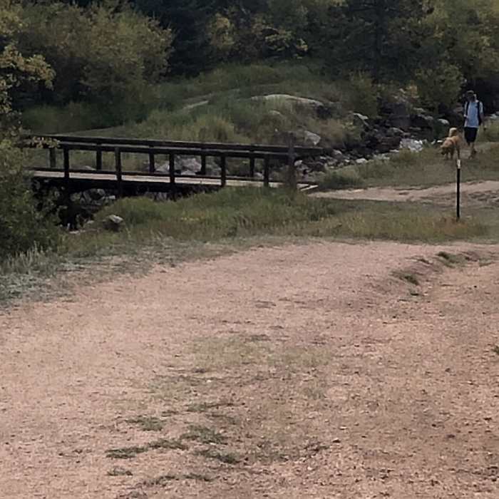 Near Rainbow Gulch Trail #714