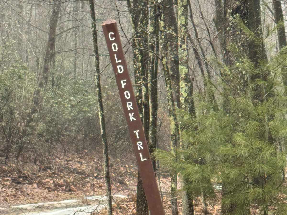 Cold Fork Trail trail photo