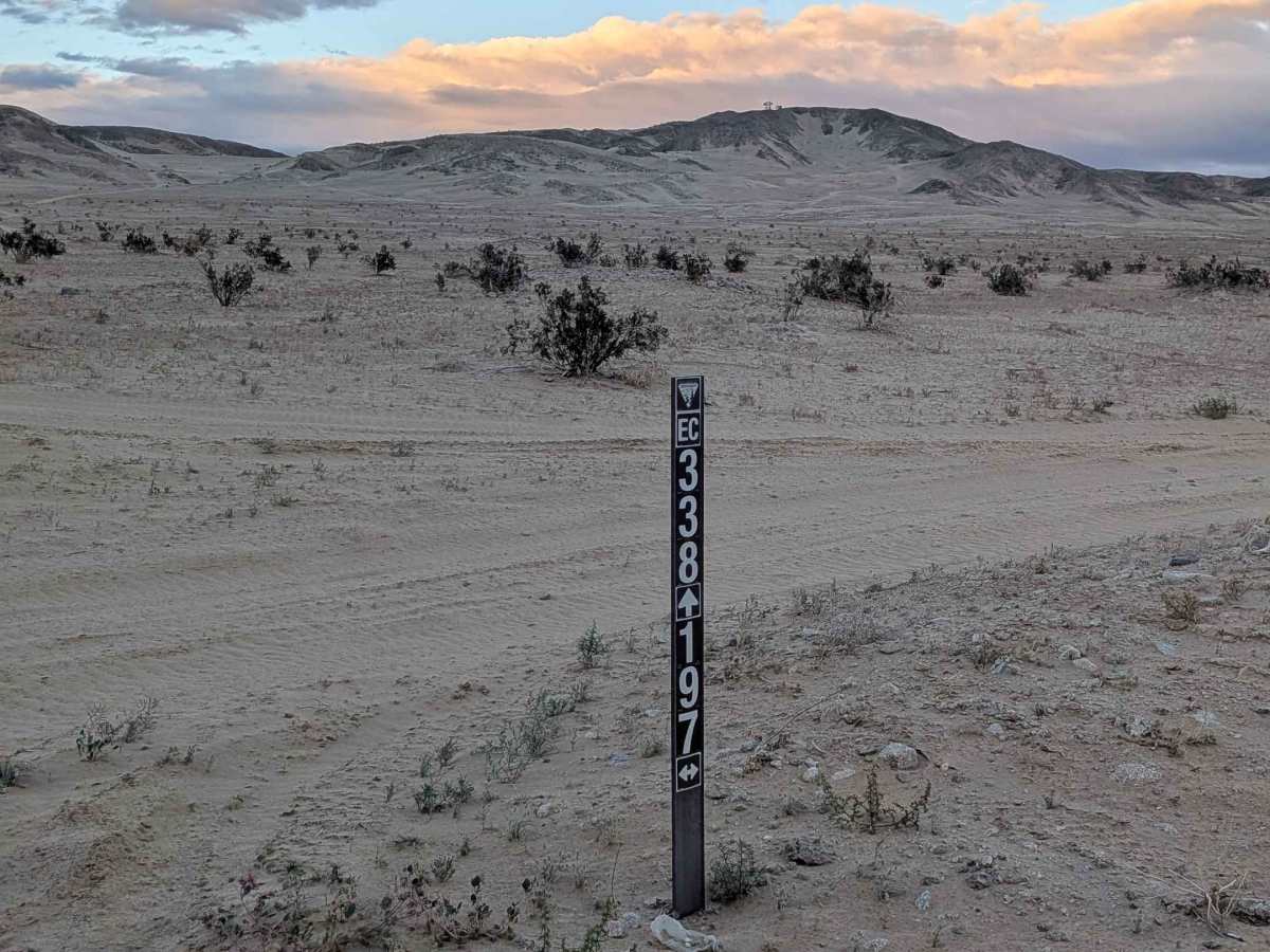 BLM 338 photo 2