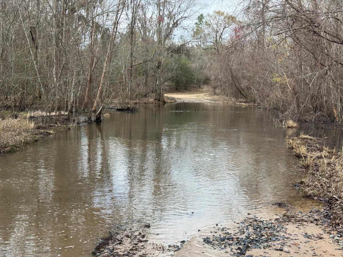 Fishing Road photo 6