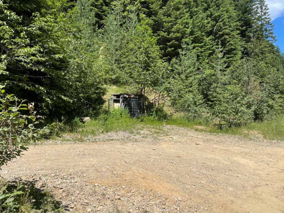Lone Cabin Creek photo 5