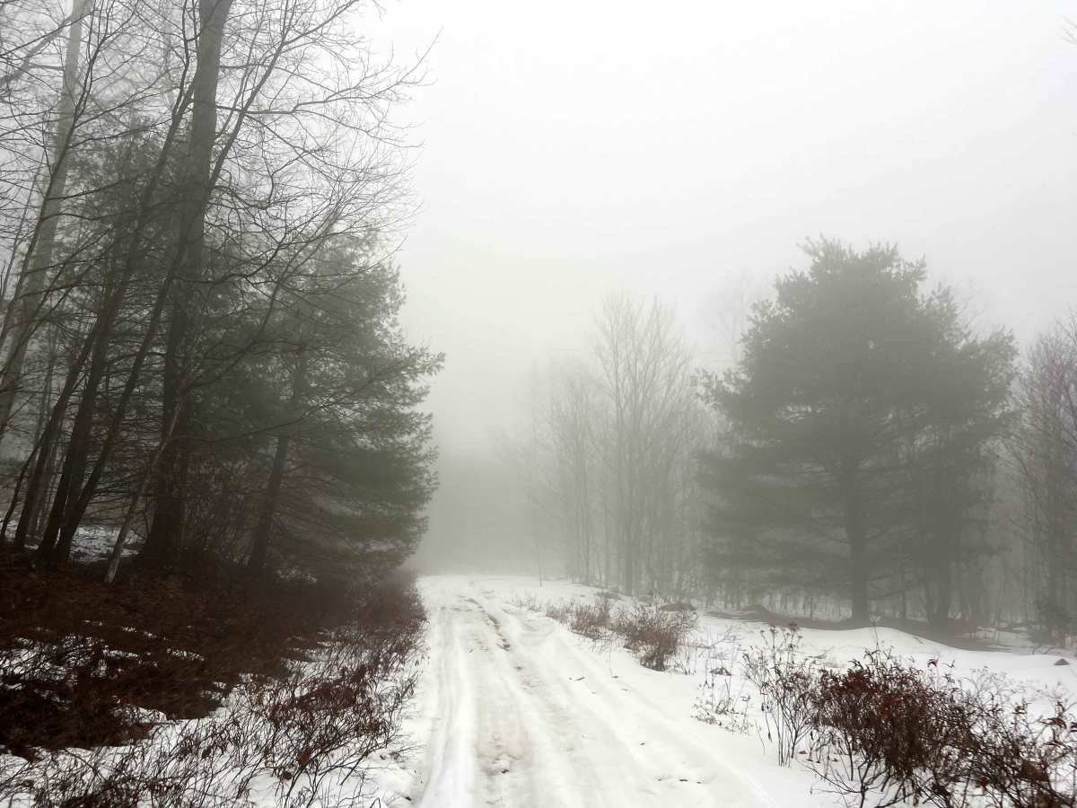 Kinney Hollow Trail photo 5