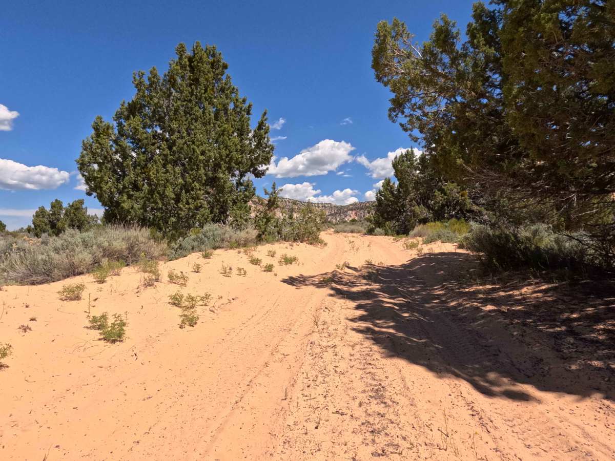 BLM 106Q photo 5
