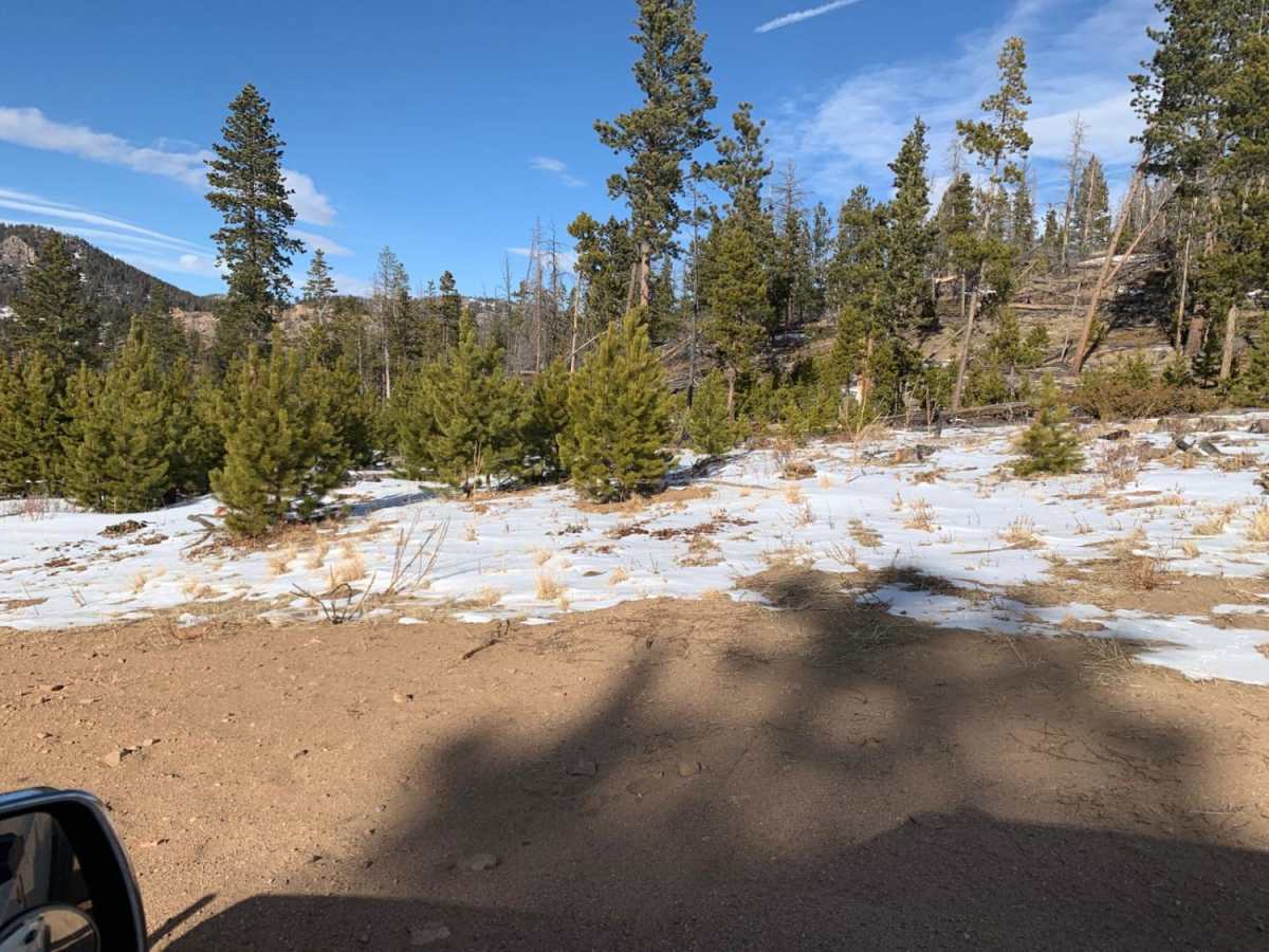 Pratt Creek photo 3