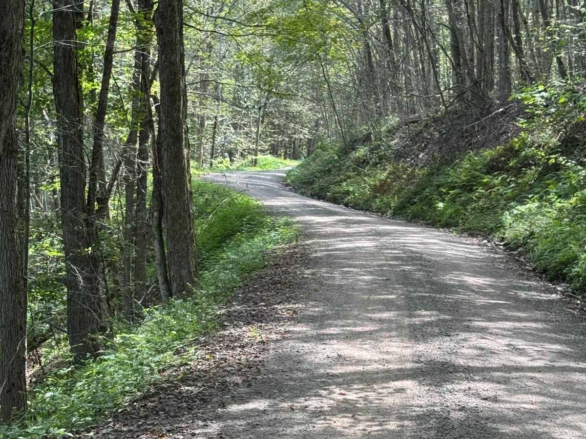 Yellow Dog Road trail photo