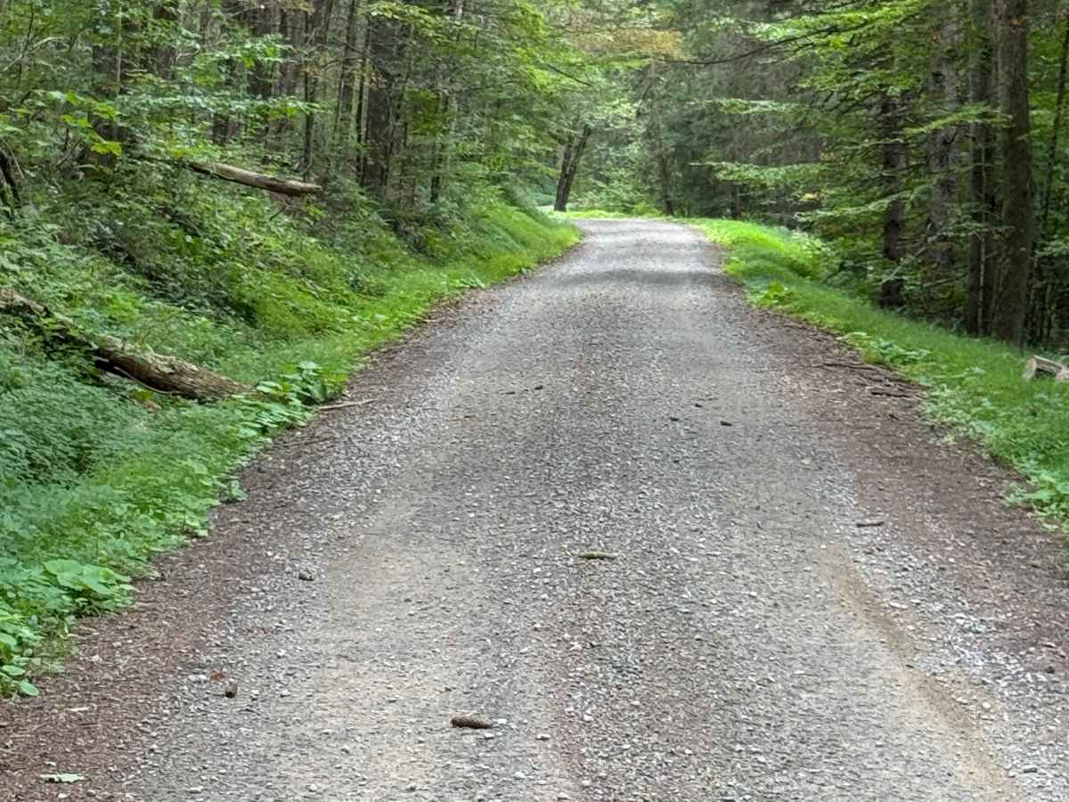 Mill Creek Road photo 3