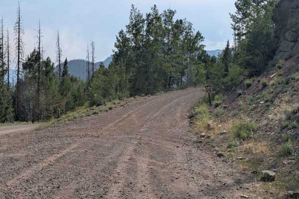 Rito Gato Road - FS 245