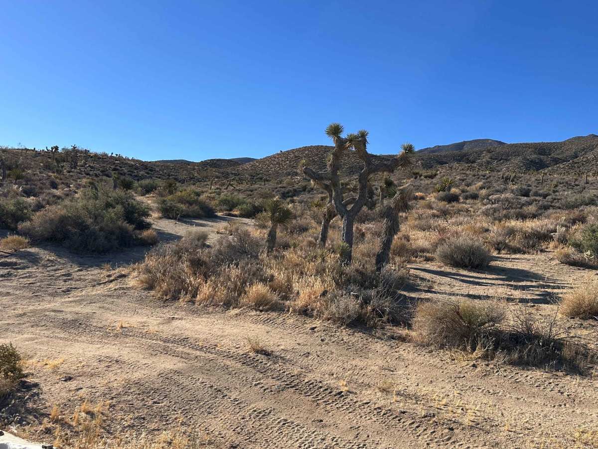 Silver Run Trail photo 6