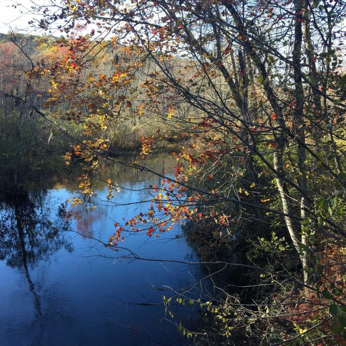 Poliack Pond Fall View Near Janice's Loop