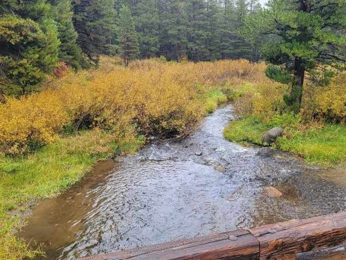 Forestdale Road trail photo