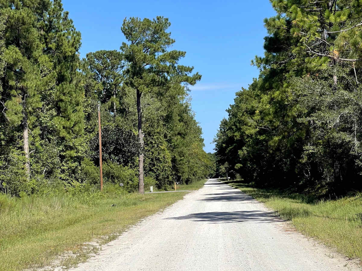 Redwood Road photo 3