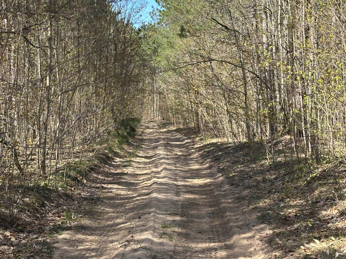 Summit Road photo 6