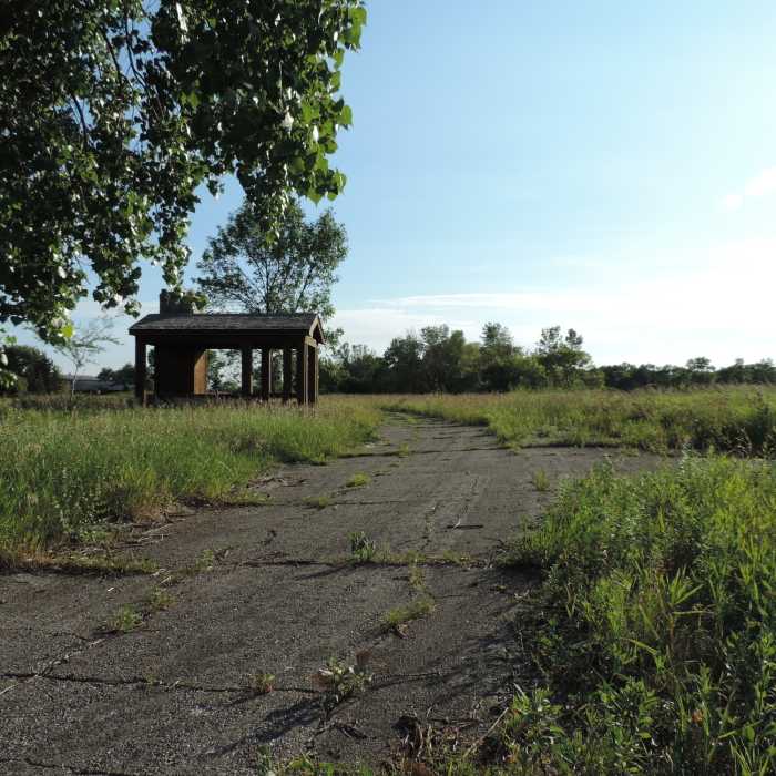 The old road leading to the original lodge passes right through the middle of the Coneflower Loop, along with a little shelter. Near Turtle River State Park Loop