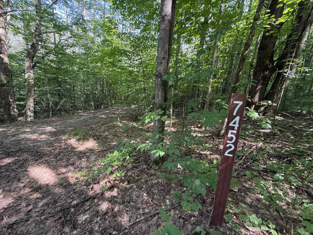 FS 7451 trail photo