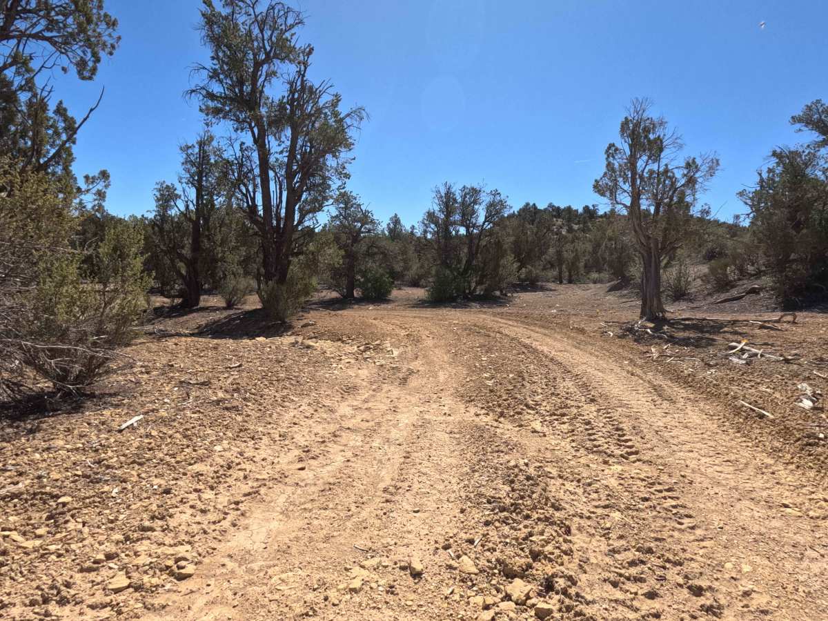 BLM 73Q photo 6