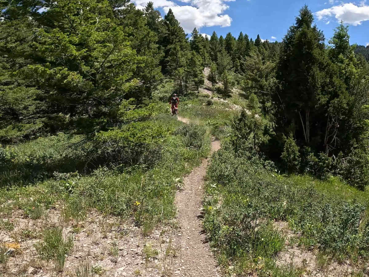 Hell Creek  photo 5