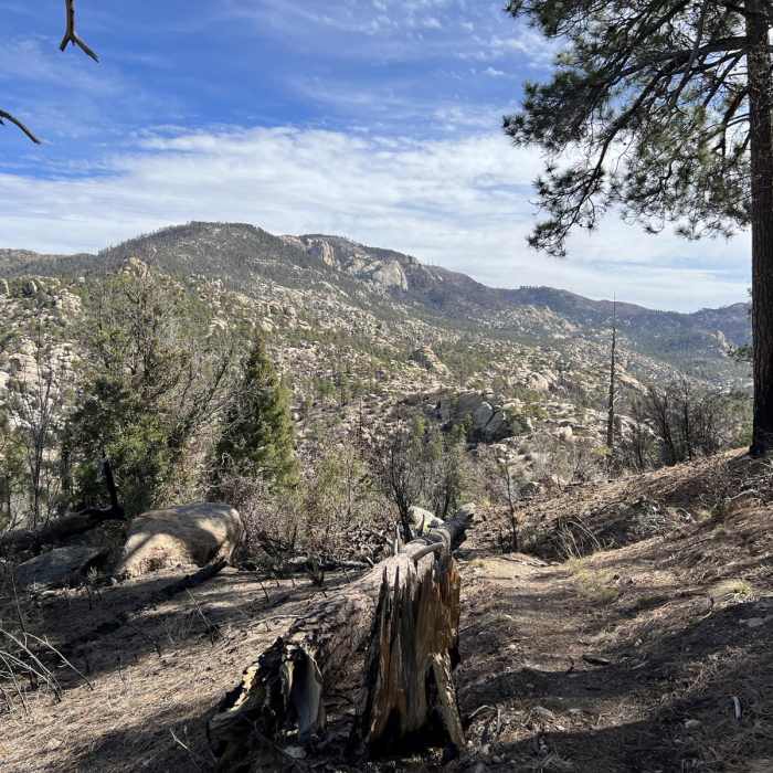 Near Sutherland Loop