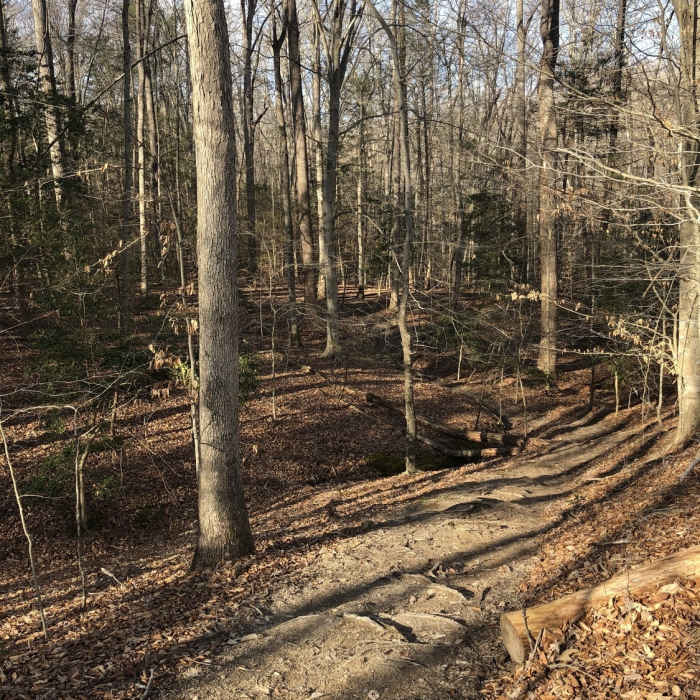 Near Fountainhead Loop Hike