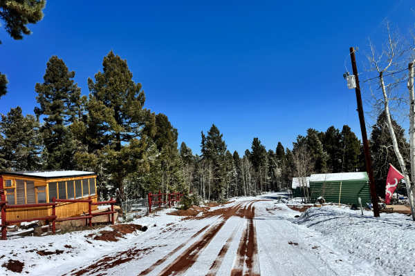 Yucca Road - FS 359