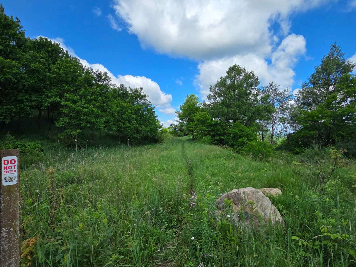 Single Track H trail photo