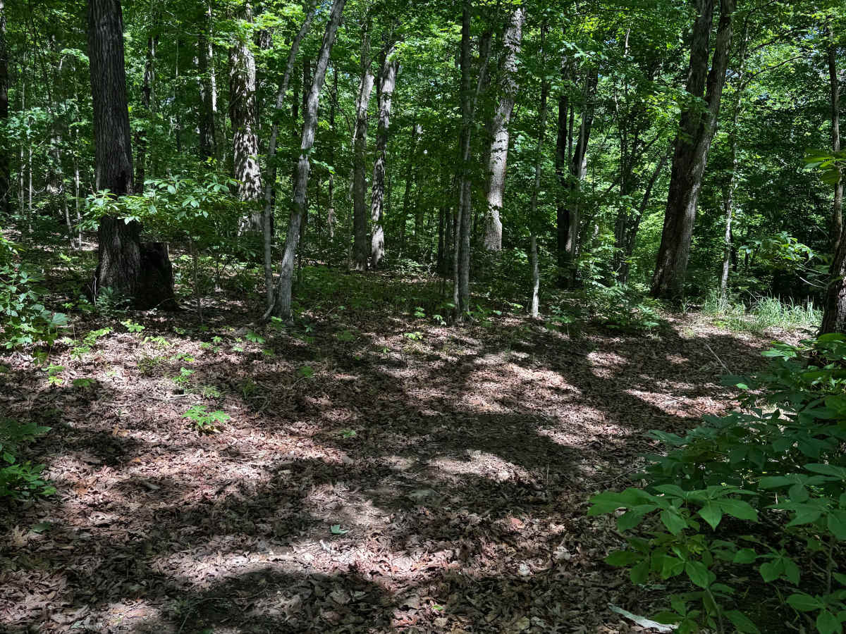 Hillside 69.5 trail photo