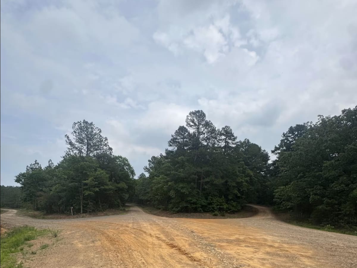 Blue Jay Hollow photo 4