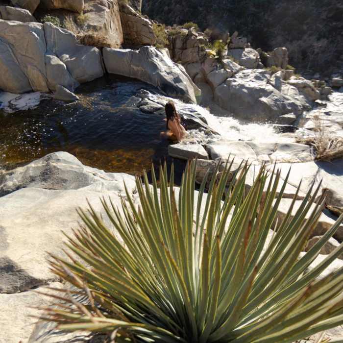 Near Kitchen Creek Falls