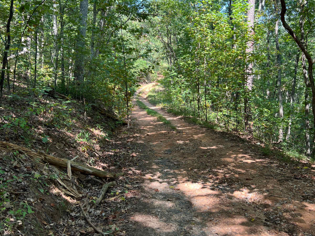 Smith Gap Branch A - FS 635A photo 6