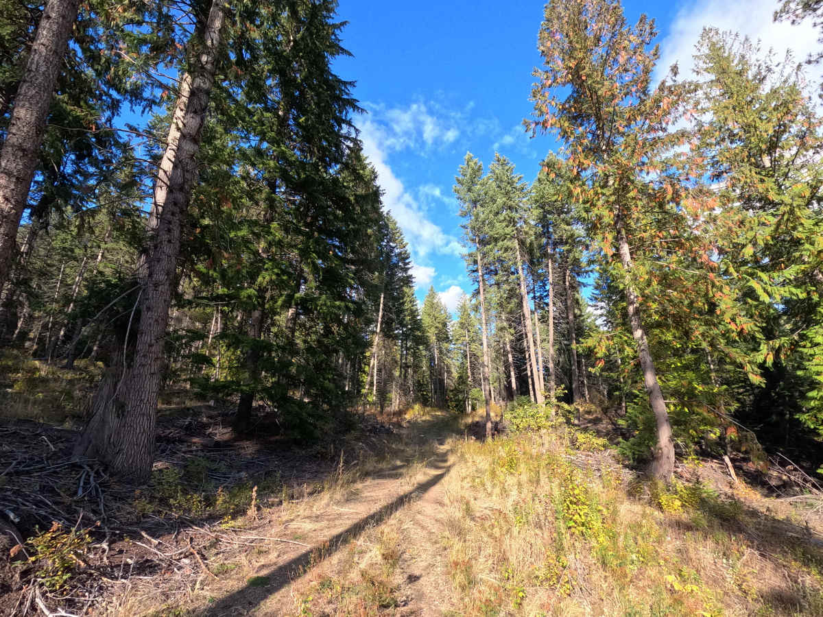 FS 1921055 photo 4
