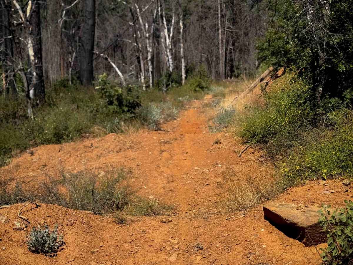 Cashman Ridge  photo 4