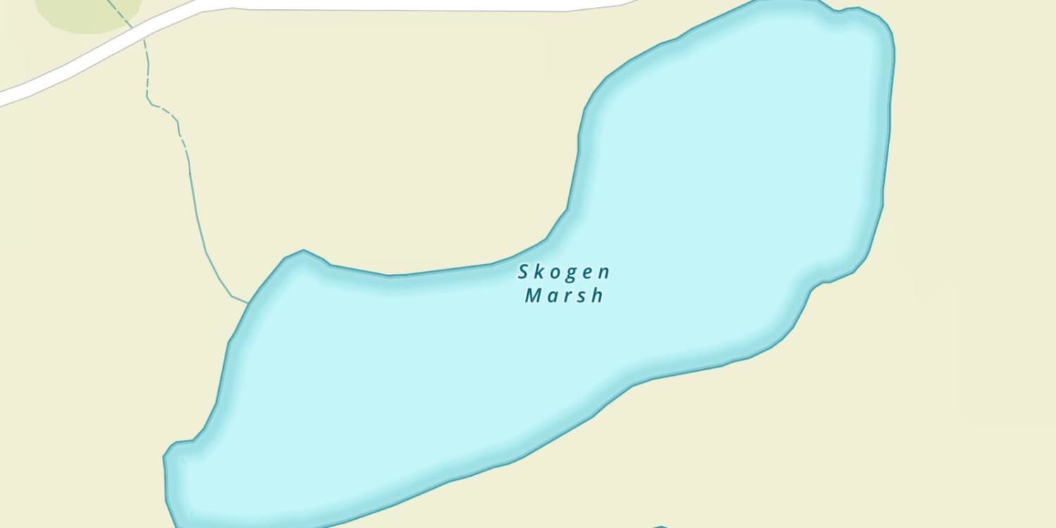 Skogen Marsh
