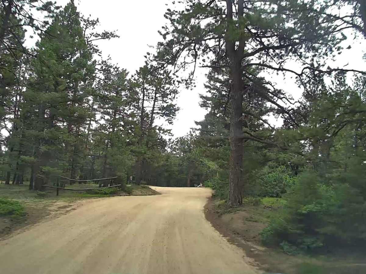 Forest Road 507 photo 2