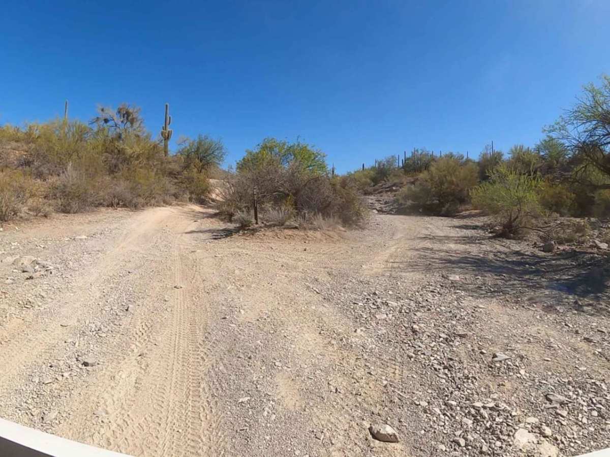 Walker Gulch to Senator Highway and Crown King trail photo