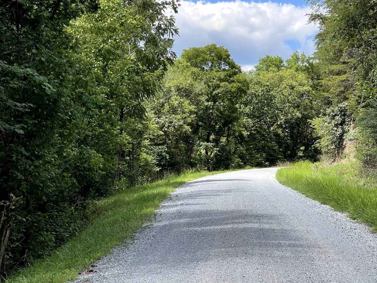 Route 818 photo 2
